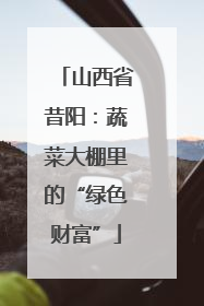 山西省昔阳：蔬菜大棚里的“绿色财富”