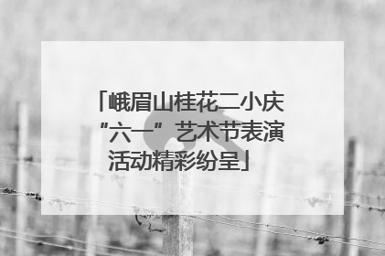 峨眉山桂花二小庆“六一”艺术节表演活动精彩纷呈