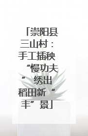 崇阳县三山村：手工插秧“慢功夫” 绣出稻田新“丰”景