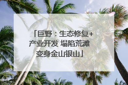 巨野：生态修复+产业开发 塌陷荒滩变身金山银山