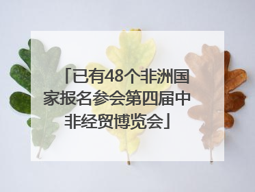 已有48个非洲国家报名参会第四届中非经贸博览会