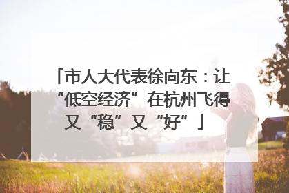 市人大代表徐向东：让“低空经济”在杭州飞得又“稳”又“好”