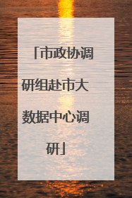 市政协调研组赴市大数据中心调研