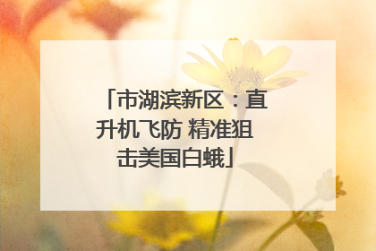 市湖滨新区：直升机飞防 精准狙击美国白蛾