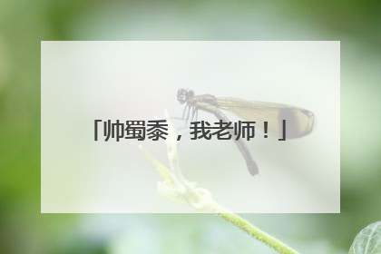 帅蜀黍，我老师！