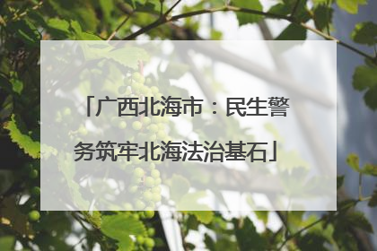 广西北海市：民生警务筑牢北海法治基石