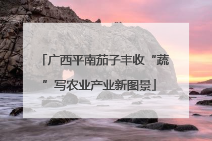 广西平南茄子丰收“蔬”写农业产业新图景