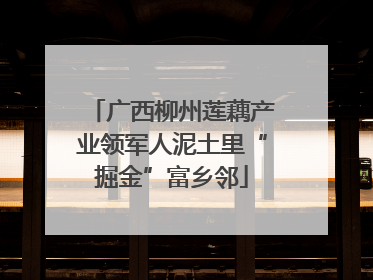 广西柳州莲藕产业领军人泥土里“掘金”富乡邻