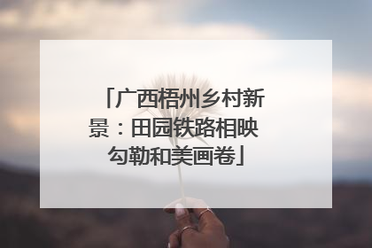 广西梧州乡村新景：田园铁路相映 勾勒和美画卷