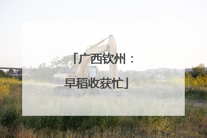 广西钦州：早稻收获忙