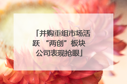并购重组市场活跃 “两创”板块公司表现抢眼
