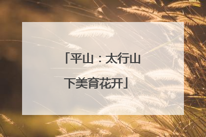平山：太行山下美育花开