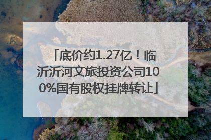 底价约1.27亿！临沂沂河文旅投资公司100%国有股权挂牌转让