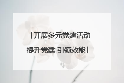 开展多元党建活动 提升党建 引领效能