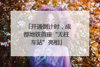 开通倒计时，成都地铁首座“无柱车站”亮相