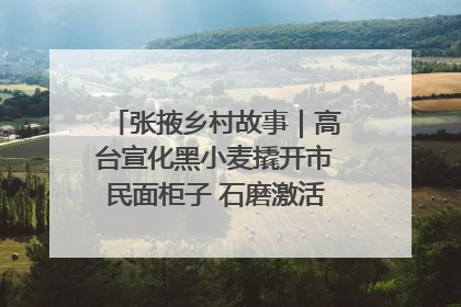 张掖乡村故事｜高台宣化黑小麦撬开市民面柜子 石磨激活村集体钱匣子