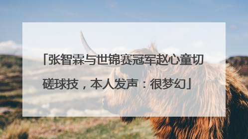 张智霖与世锦赛冠军赵心童切磋球技，本人发声：很梦幻