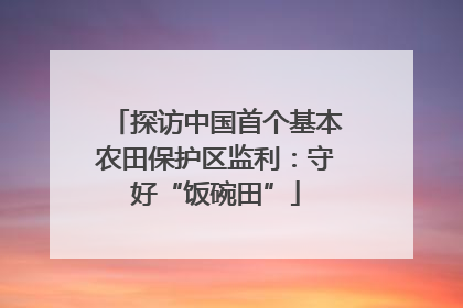 探访中国首个基本农田保护区监利：守好“饭碗田”