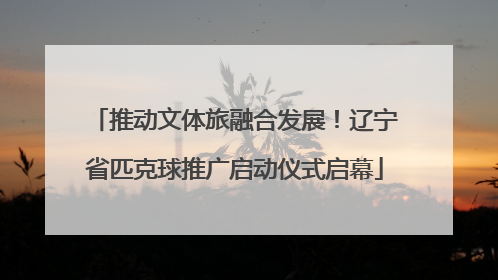 推动文体旅融合发展！辽宁省匹克球推广启动仪式启幕