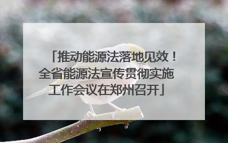 推动能源法落地见效！全省能源法宣传贯彻实施工作会议在郑州召开