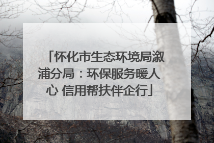 怀化市生态环境局溆浦分局：环保服务暖人心 信用帮扶伴企行