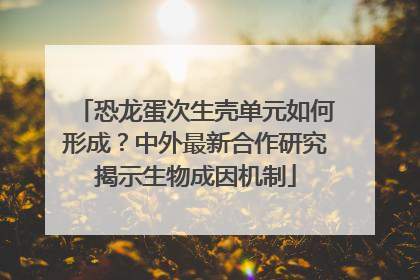 恐龙蛋次生壳单元如何形成？中外最新合作研究揭示生物成因机制