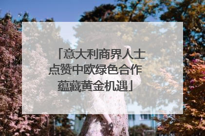意大利商界人士点赞中欧绿色合作蕴藏黄金机遇