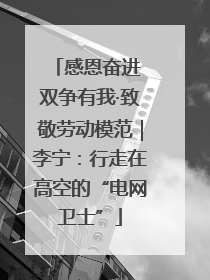 感恩奋进 双争有我·致敬劳动模范｜李宁：行走在高空的“电网卫士”