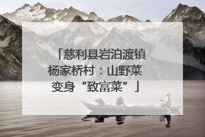 慈利县岩泊渡镇杨家桥村：山野菜变身“致富菜”