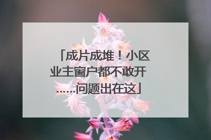 成片成堆！小区业主窗户都不敢开……问题出在这