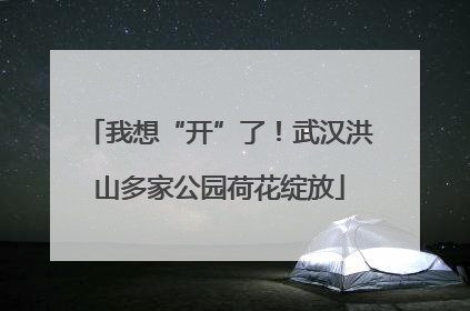 我想“开”了！武汉洪山多家公园荷花绽放