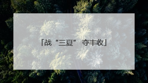 战“三夏” 夺丰收