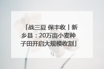 战三夏 保丰收丨新乡县：20万亩小麦种子田开启大规模收割