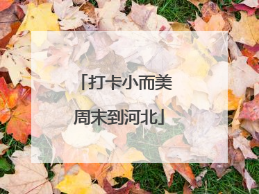 打卡小而美 周末到河北