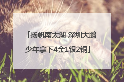 扬帆南太湖 深圳大鹏少年拿下4金1银2铜