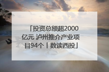 投资总额超2000亿元 泸州推介产业项目94个丨数读西投