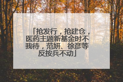 抢发行，抢建仓，医药主题新基金时不我待，范妍、徐彦等反按兵不动