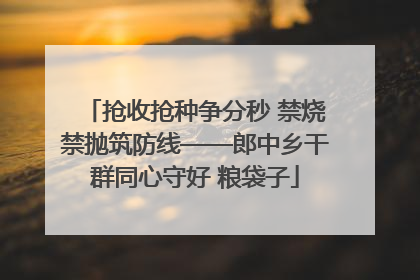 抢收抢种争分秒 禁烧禁抛筑防线——郎中乡干群同心守好 粮袋子