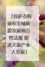 拉萨市将颁布全域旅游发展地方性法规 促进文旅产业大发展