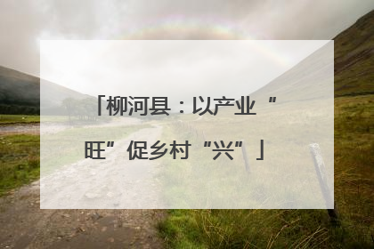 柳河县：以产业“旺”促乡村“兴”