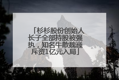 杉杉股份创始人长子全部持股被强执，知名牛散魏巍斥资1亿元入局