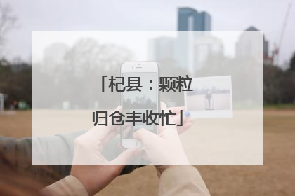 杞县：颗粒归仓丰收忙