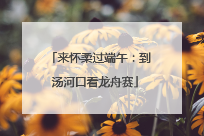 来怀柔过端午：到汤河口看龙舟赛