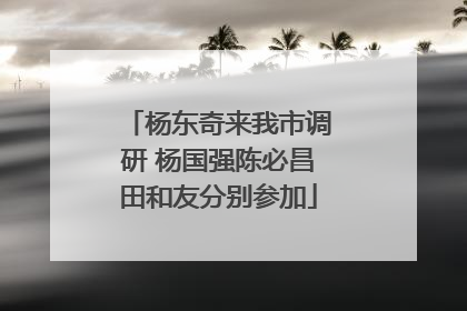 杨东奇来我市调研 杨国强陈必昌田和友分别参加