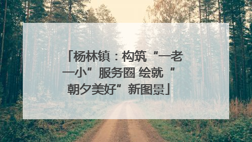 杨林镇：构筑“一老一小”服务圈 绘就“朝夕美好”新图景