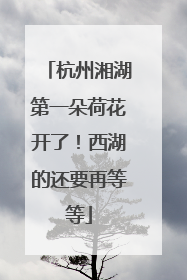 杭州湘湖第一朵荷花开了！西湖的还要再等等