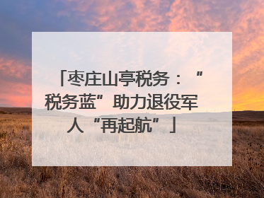 枣庄山亭税务：“税务蓝”助力退役军人“再起航”