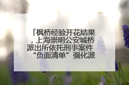 枫桥经验开花结果，上海崇明公安城桥派出所依托刑事案件“负面清单”强化派出所“主防”