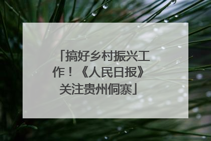 搞好乡村振兴工作！《人民日报》关注贵州侗寨