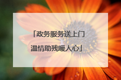政务服务送上门 温情助残暖人心